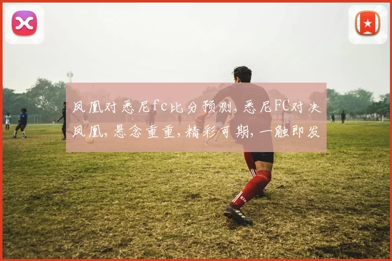 凤凰对悉尼fc比分预测,悉尼FC对决凤凰,悬念重重,精彩可期,一触即发,敬请期待